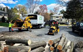 Best Tree Trimming and Pruning  in Boswell, PA